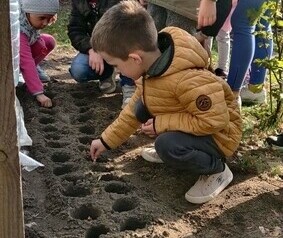 Dziecisadzą cebulki kwiat&oacute;w w ogrodzie przedszkolnym. 