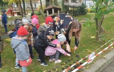 Dziecisadzą cebulki kwiat&oacute;w w ogrodzie przedszkolnym. Nauczycielka pomaga im.