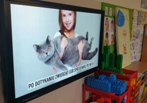 Zdjęcie tablicy multimedilanej. Na niej jest zdjęcie dziewczynki z kotem i napis po dotykaniu zwierząt trzeba myć ręce.