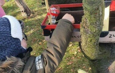 Chłopiec ubrany w kurtkę i czapkę. Wkłada ręke do karmnika.