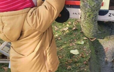 Chłopiec ubrany jest w kurtkę i czapkę. Wkłada rękę do karmnika.