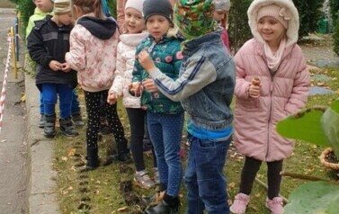 Dzieci stoją w ogrodzie przedszkolnym. Ubrane są w kurtki i czapki. Przed nimi wykopane są dołki do wsadzenia cebulek kwiatowych. NAuczycielka stoi obok dzieci. M&oacute;wi coś do nich. 