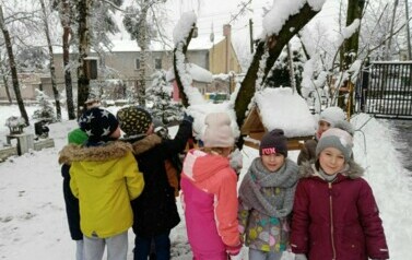 Dzieci stoją przy karmniku w ogrodzie przedszkolnym. Na podw&oacute;rku jest śnieg. Dzieci ubrane są w kurtki, czapki, rękawiczki.
