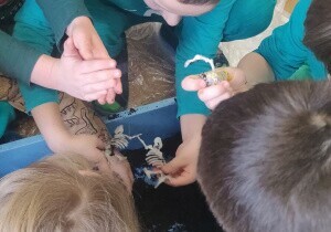 Dzieci odkopują szczątki dinozaur&oacute;w z kuwety z piaskiem.