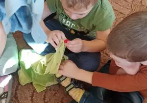 337145881_3458853151041688_550884370492914581_n-300x210