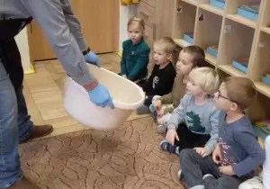 Dzieci oglądają kapustę w misce.