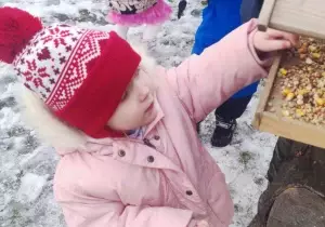 Dziewczynka wsypuje ziarenka do karmnika.