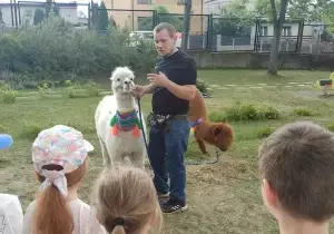 Pan stoi z białą alpaką. Dzieci słuchają co do nich m&oacute;wi.