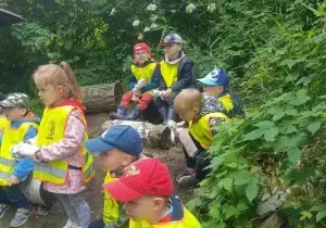 Dzieci siedza w lasku. Mają na sobie kamizelki odblaskowe.