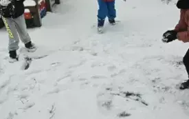 Dzieci bawią się na śniegu.