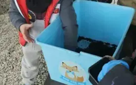 Chłopcy są w ogr&oacute;dku przedszkolnym.