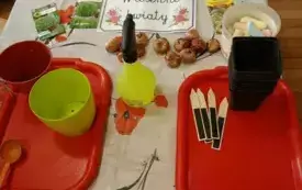 Zdjęcie doniczek, obrazk&oacute;w kwiat&oacute;w.
