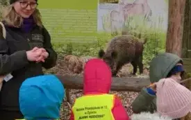 Pani Leśnik opowiada o zwierzętach leśnych.