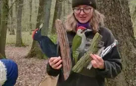 Pani Leśnik opowiada o ptakach mieszkających  w lesie Łagiewnickim.