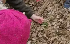 Dzieci szukają oznak wiosny.