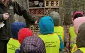 Pani Leśnik opowiada o pszczołach murarkach .