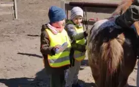 Dzieci czeszą konia.