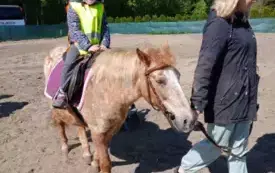 Dziecko jedzie na koniu .