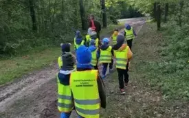 Dzieci spacerują po lesie.