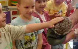 Dzieci głaszczą jeża .