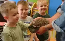 Dzieci głaszczą jeża .