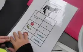 Dziecko czyta kartkę