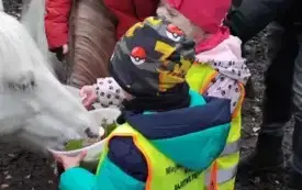 Dzieci karmią konia