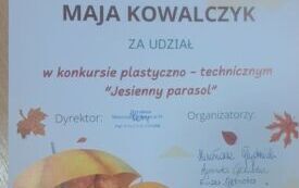 Zdjęcie wyr&oacute;żnienia