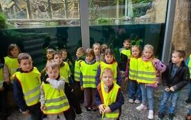 Dzieci uśmiechaja się do zdjęcia w zoo