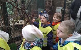 Dzieci oglądają zwierzęta w zoo