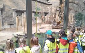 Dzieci oglądają zwierzęta w zoo