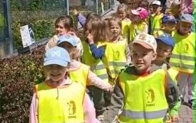Dzieci spacerują po zoo parami
