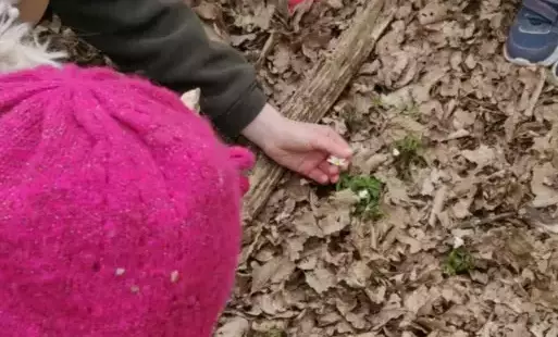 Dzieci szukają oznak wiosny.