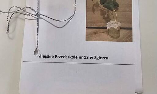 Zdjęcie książeczki projekt "Magiczna fasola"