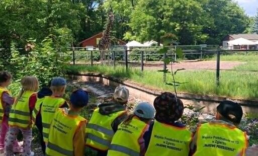 Zdjęcie do Wycieczka do ZOO grupa II i III